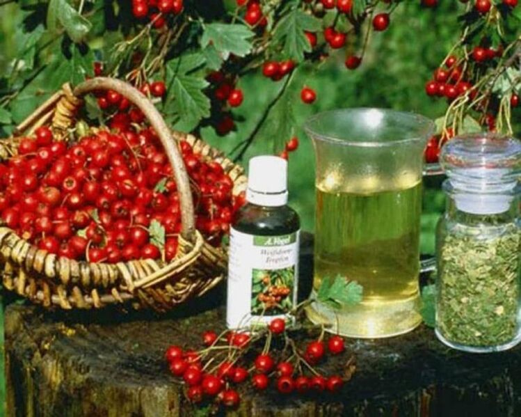 Remedios populares para o tratamento da prostatite